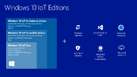 SISTEMA OPERATIVO WINDOWS 10 IOT